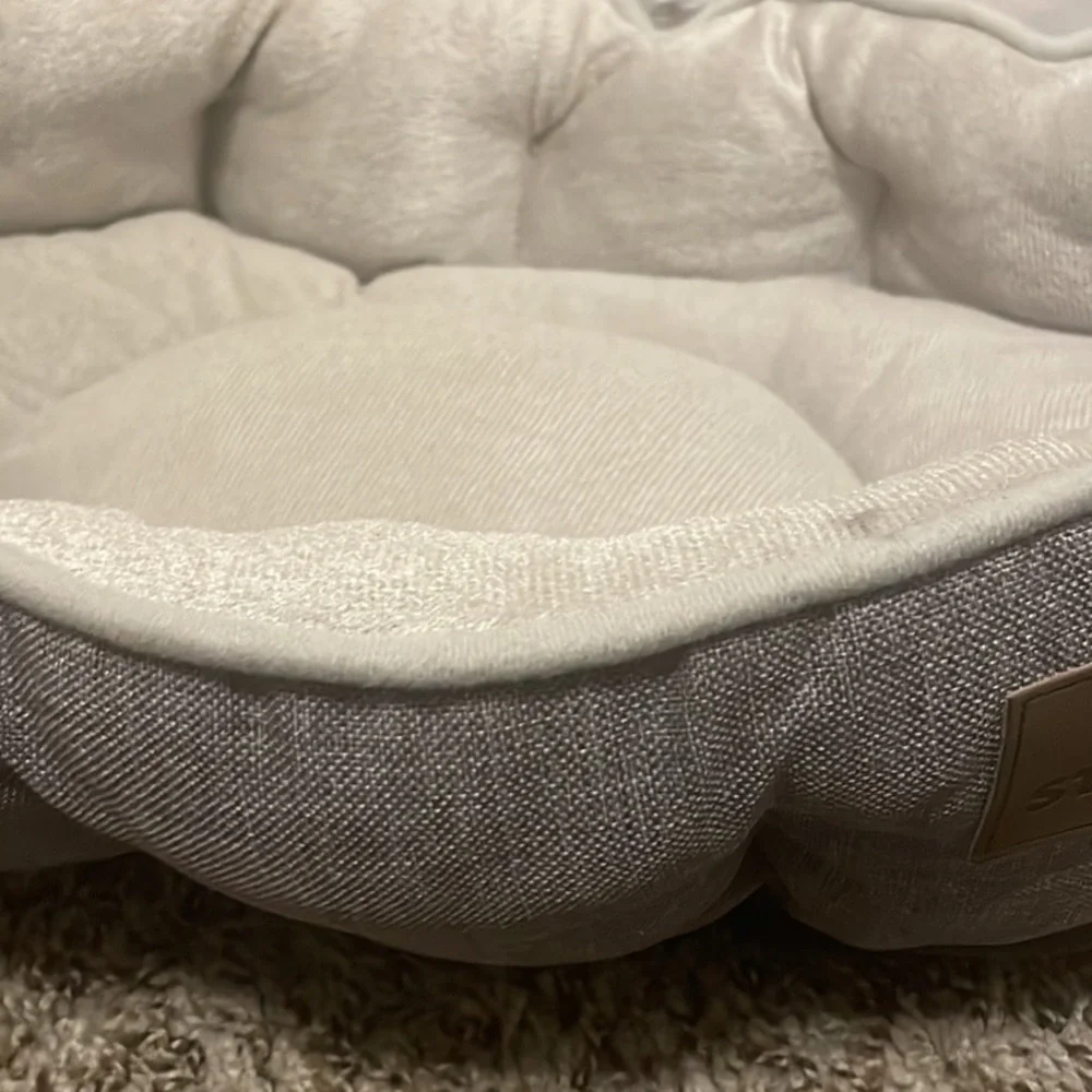 N/A gray cat
