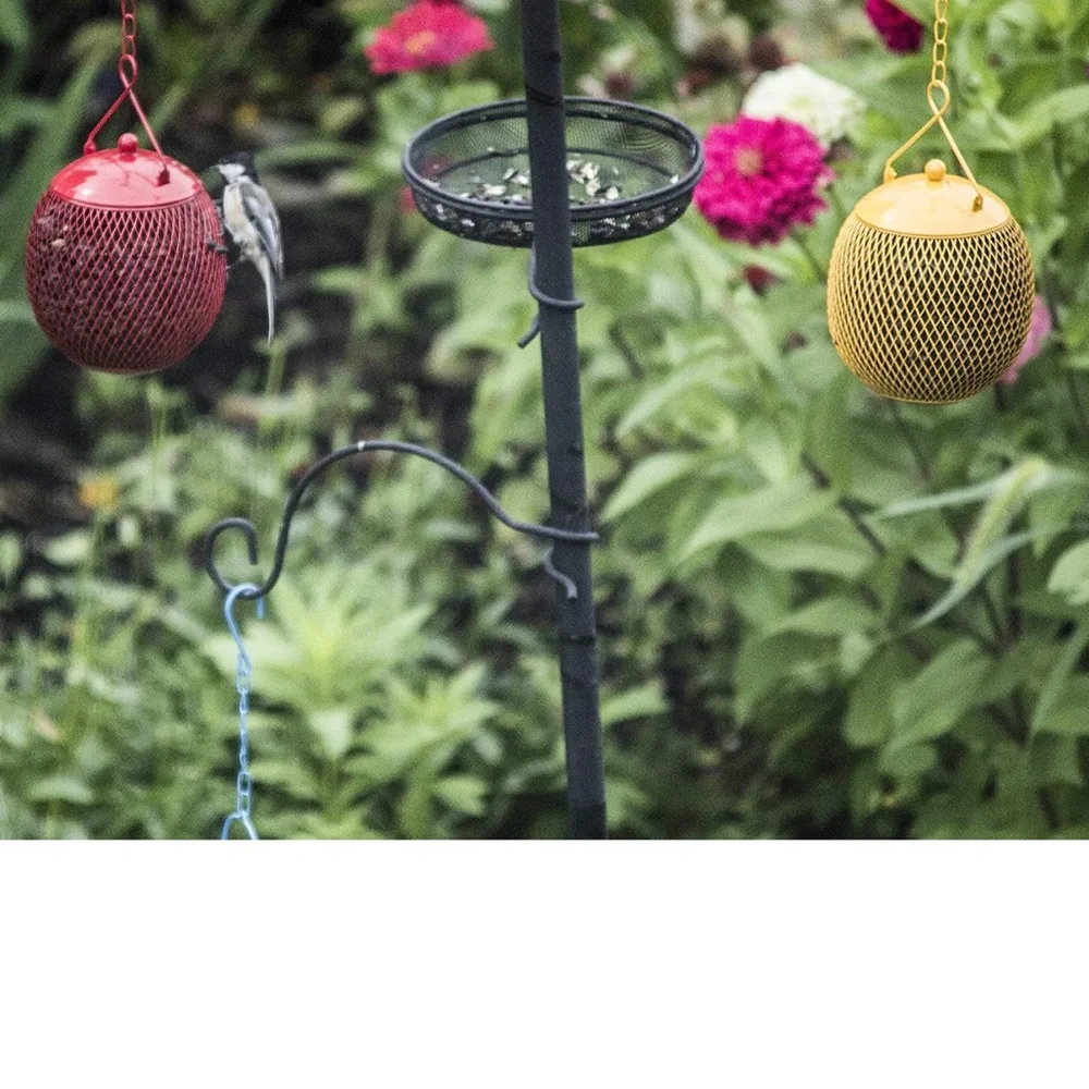 Enduris globe bird