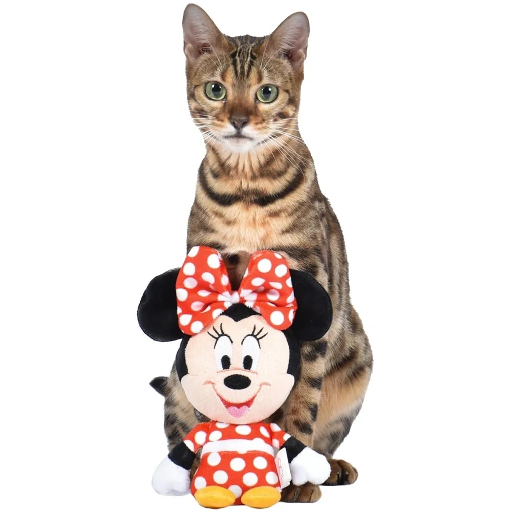 Disney brand new