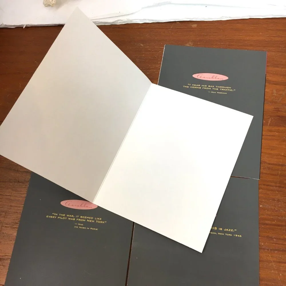 Chronicle Books aerobleu blank