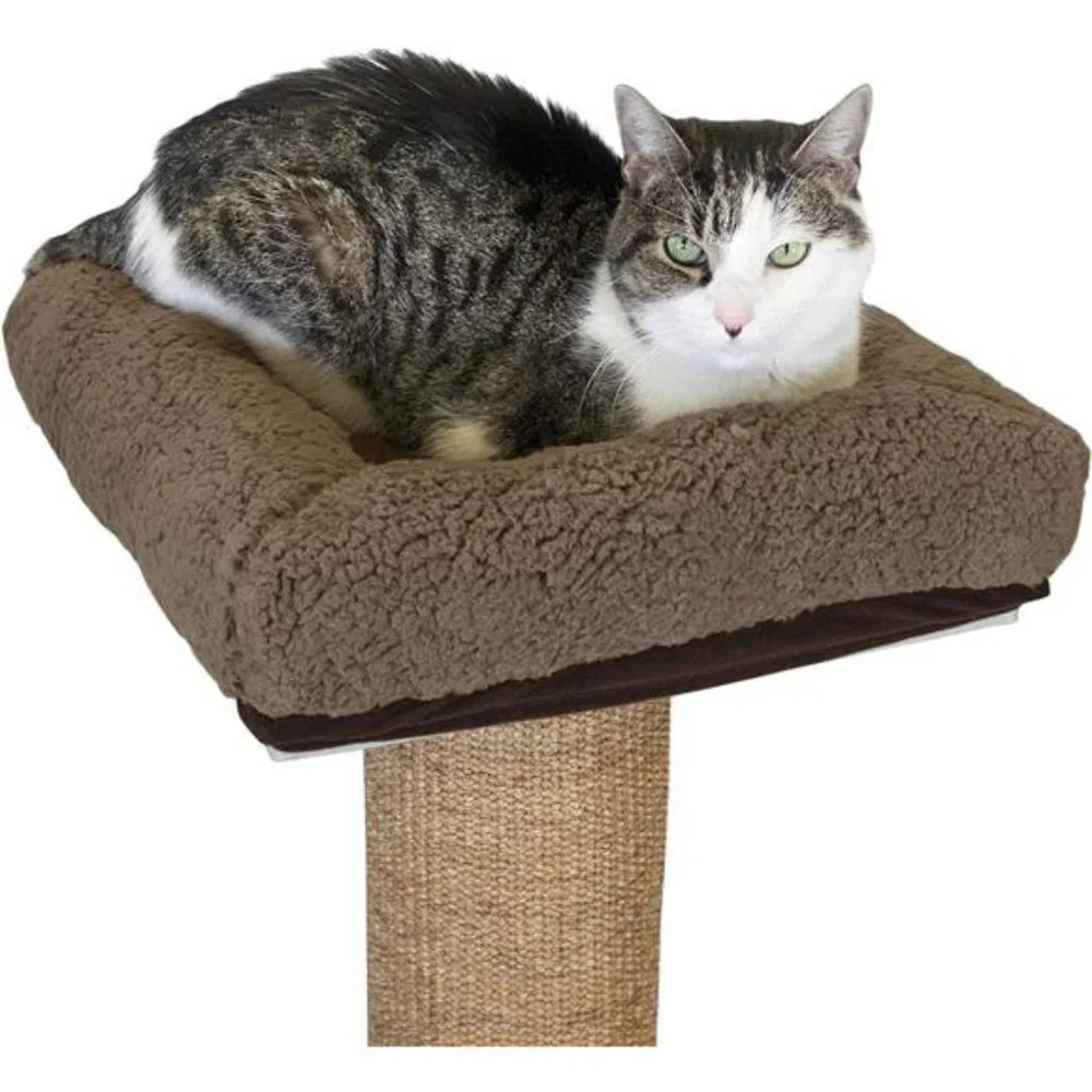 Sisal Post Cat Scratchers and Cushion