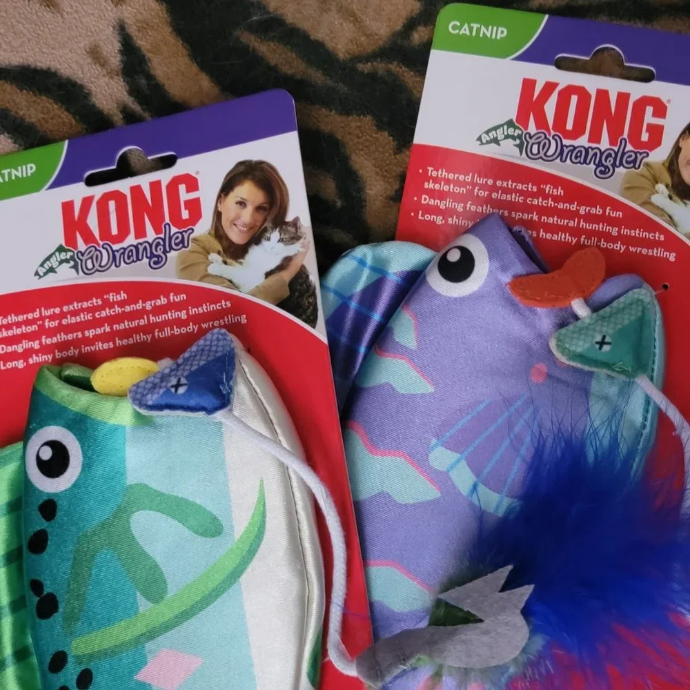 Kong cat angler