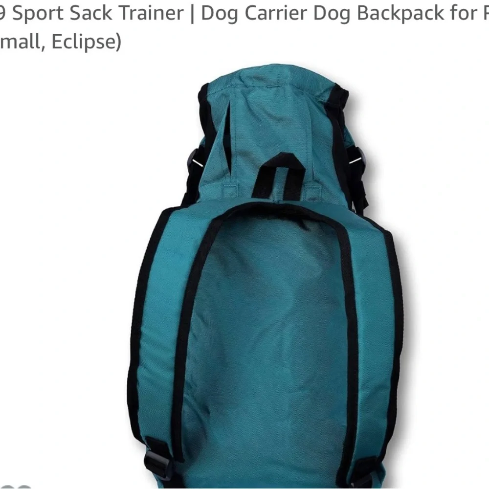 N/A teal dog