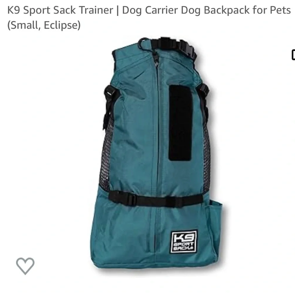 N/A teal dog