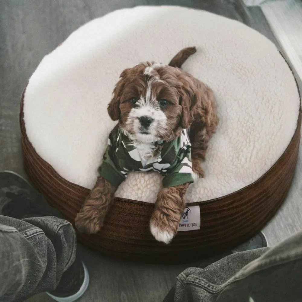 Fleecy Pet Cave Round Soft Bed for Small Dog