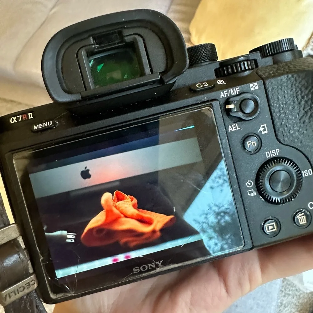 Sony screen protector
