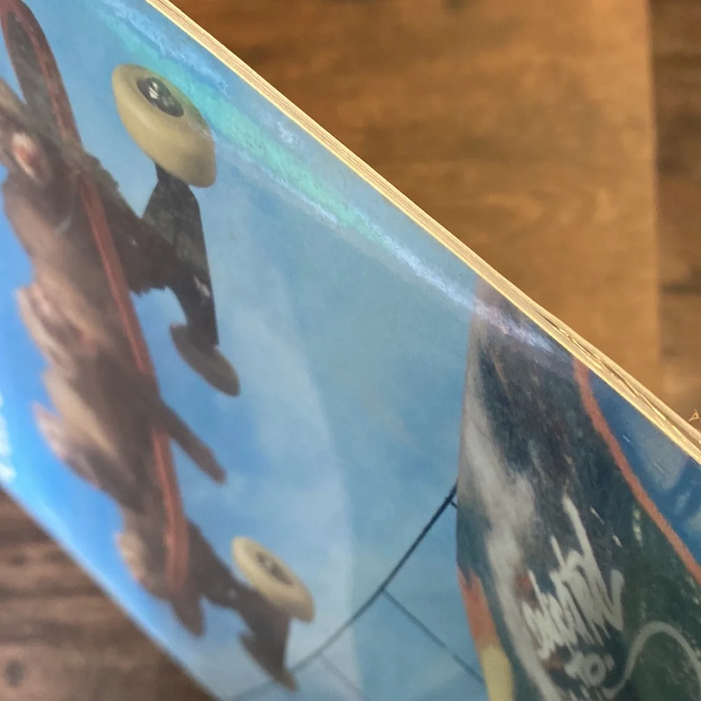 The Ferret Calendar 2000