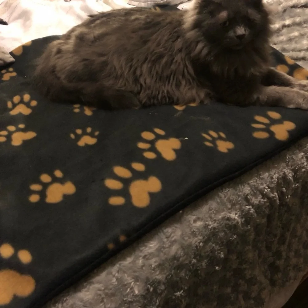 Cat Fleece Reversible Blanket size 22”x26”