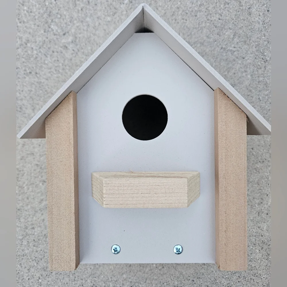 N/A window bird