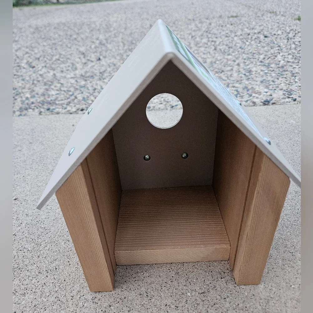 N/A window bird