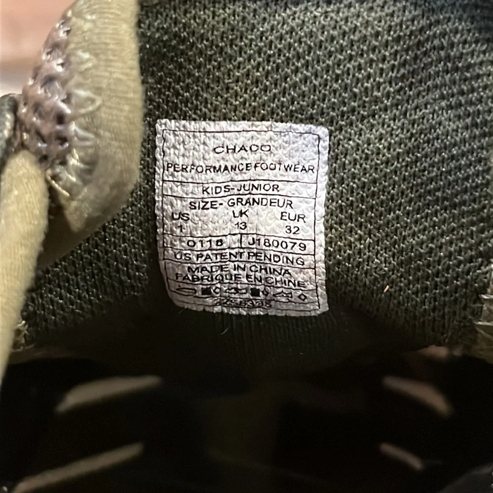 Chaco outcross avocado