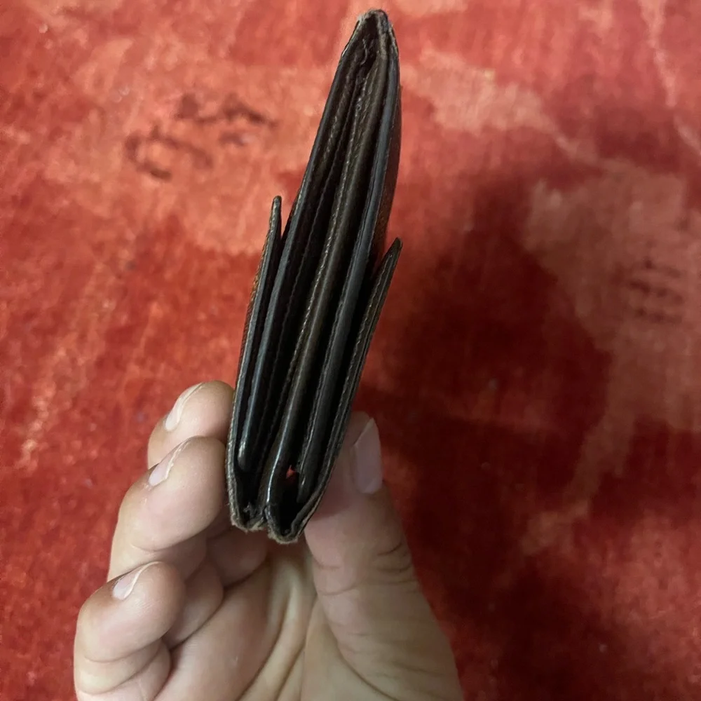 Louis Vuitton this wallet