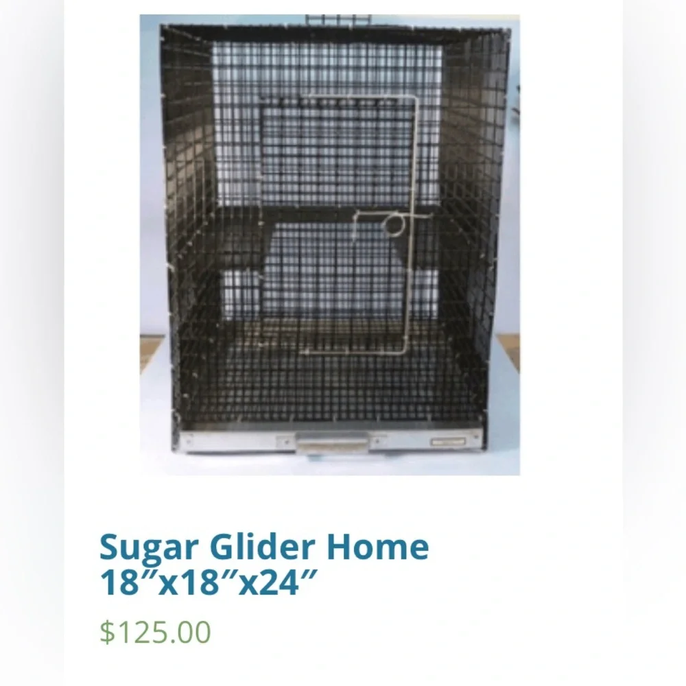 N/A sugar glider