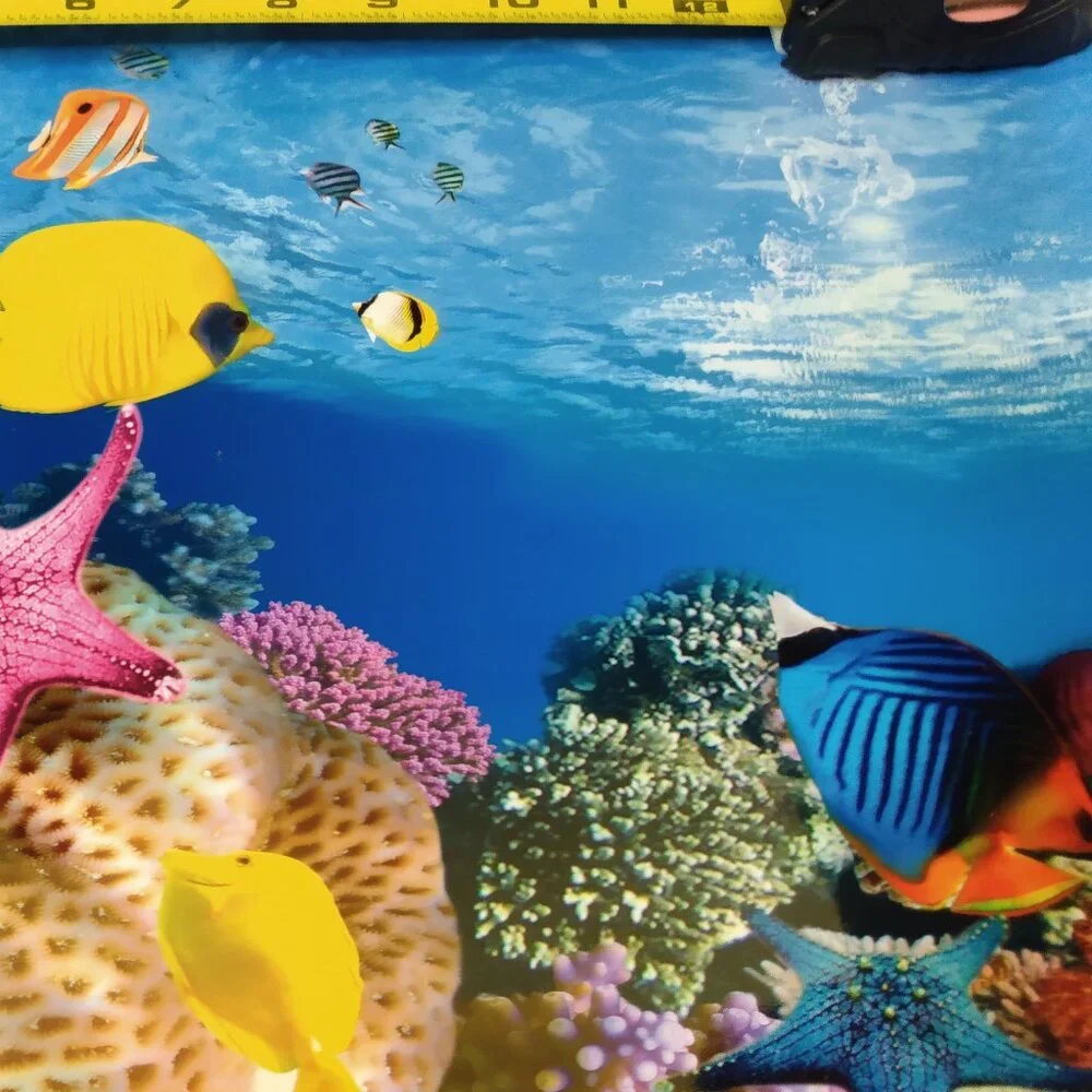 N/A fishtank backing