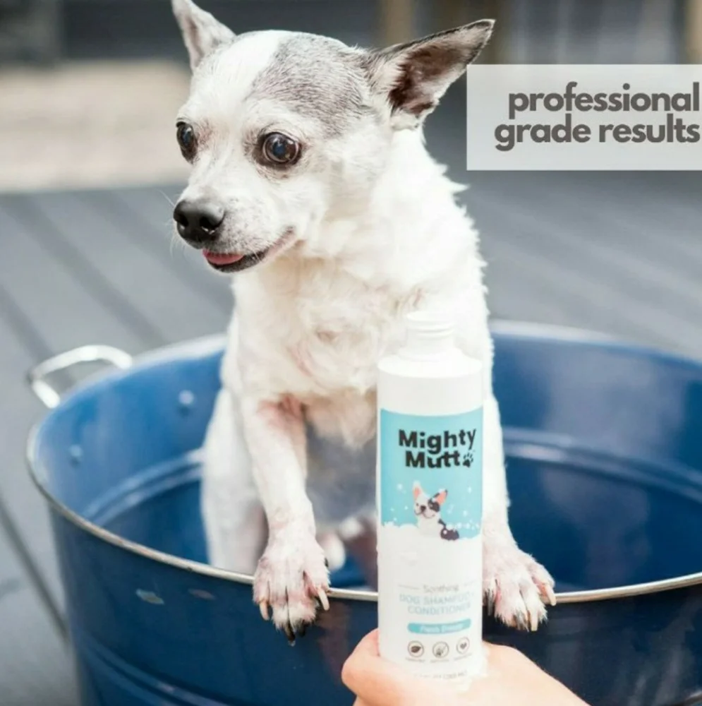 Mighty Dogs mighty mutt