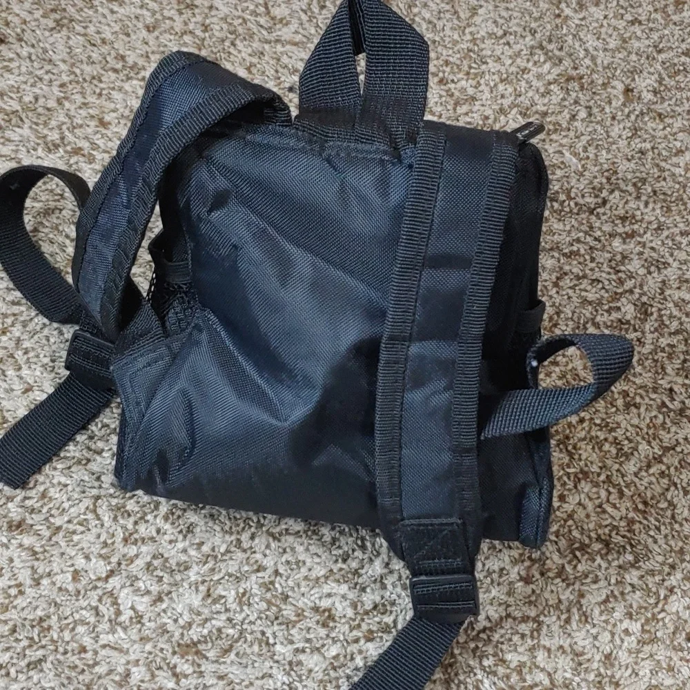 Nintendo ds carrying