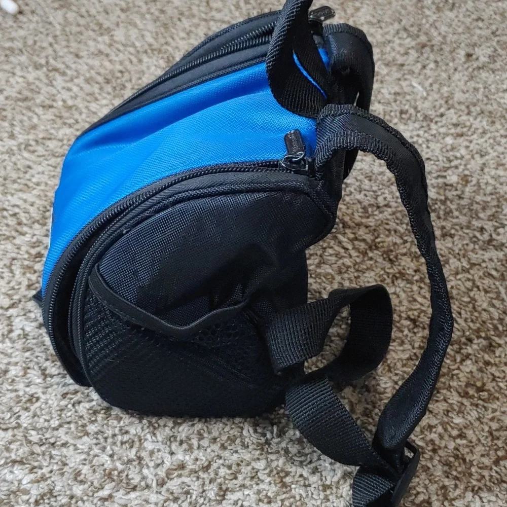 Nintendo ds carrying