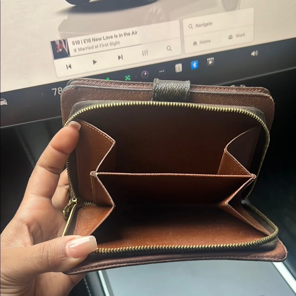 Louis Vuitton stylish louis