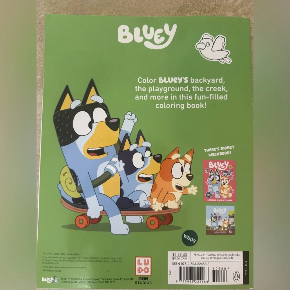 Bluey where activity
