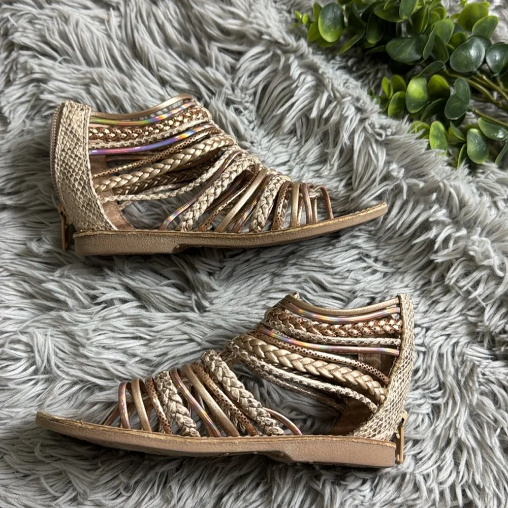 Seychelles gold gladiator