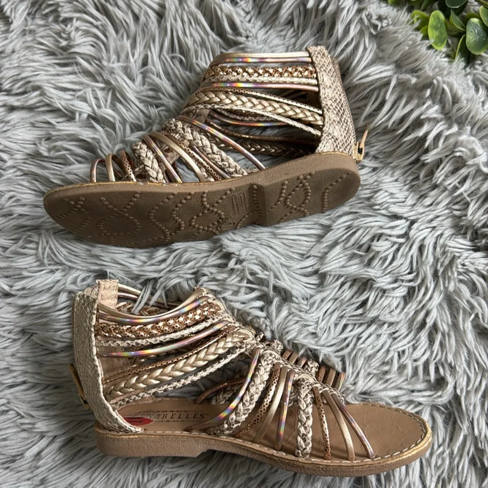 Seychelles gold gladiator