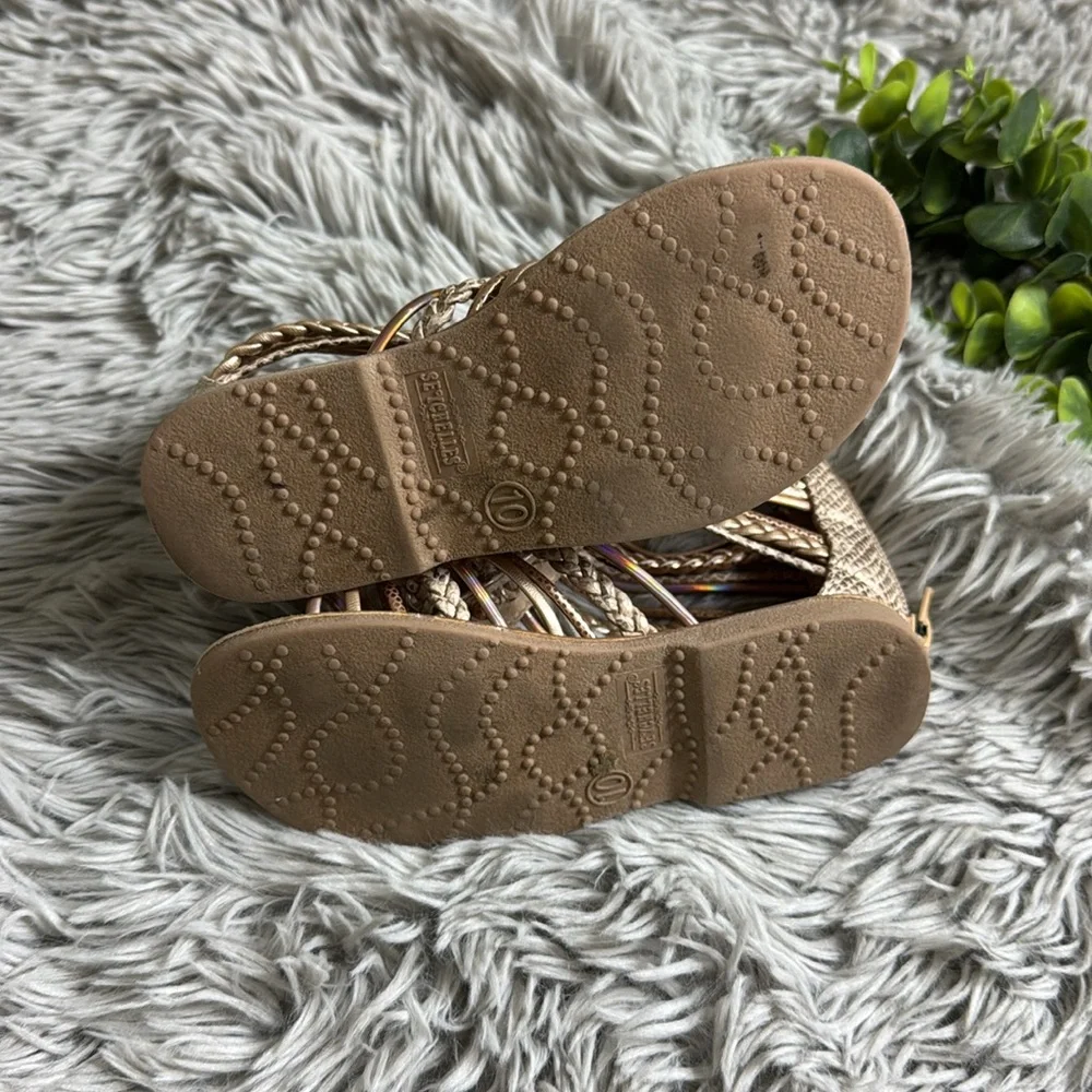 Seychelles gold gladiator