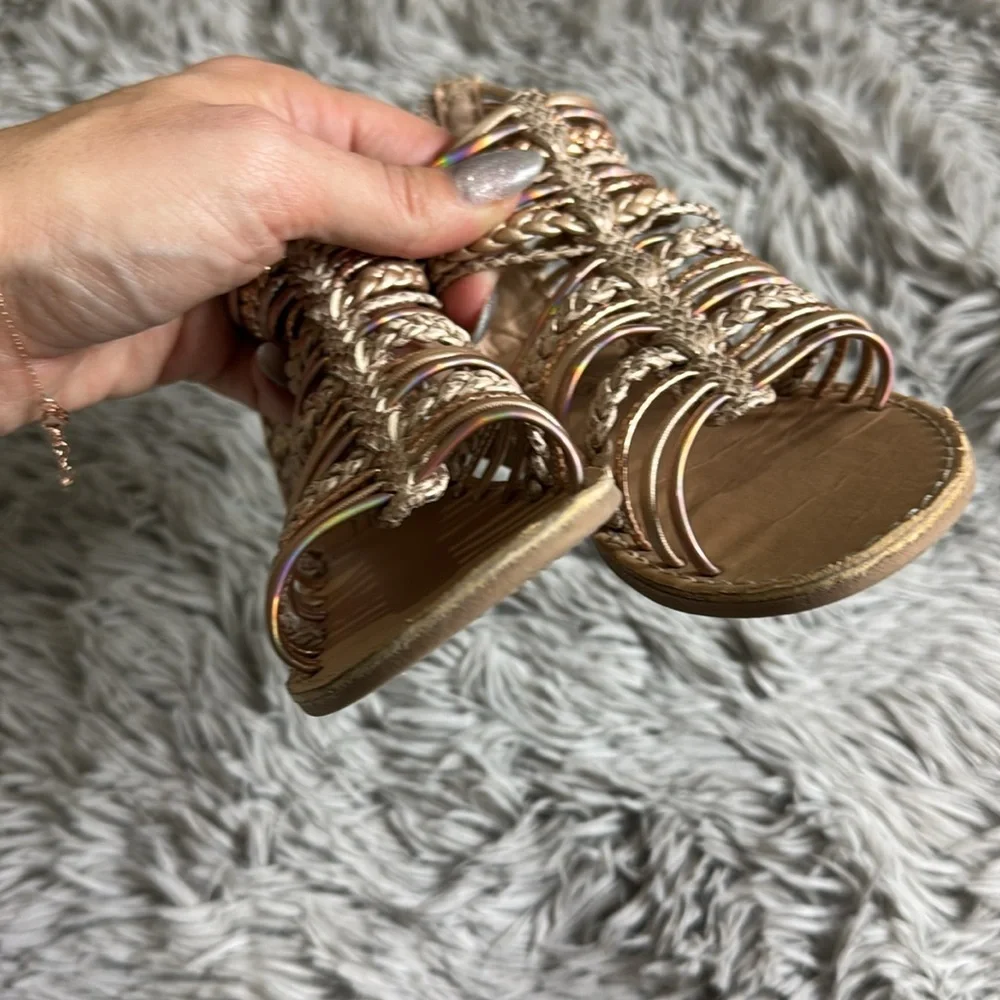 Seychelles gold gladiator