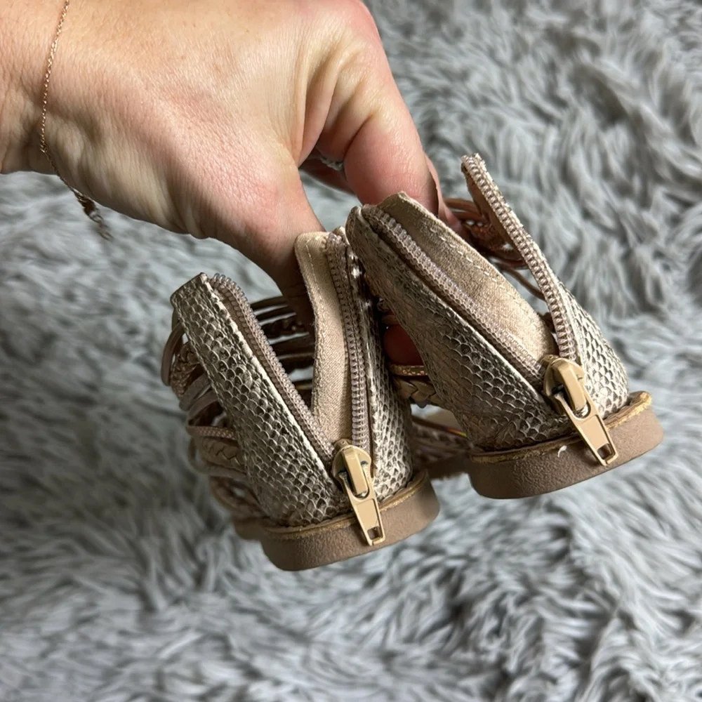 Seychelles gold gladiator