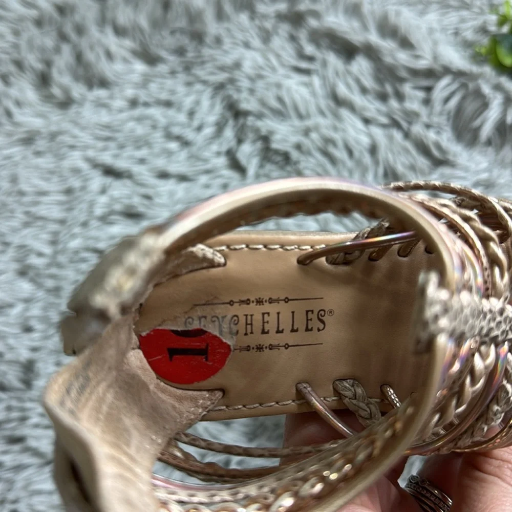 Seychelles gold gladiator