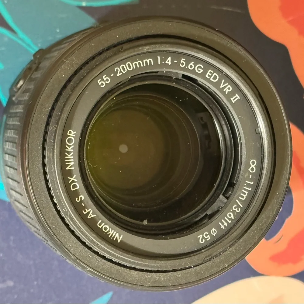 Nikon capture stunning
