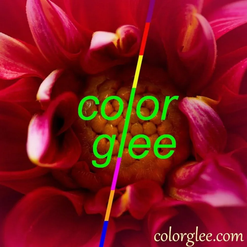 Color Glee these sweet