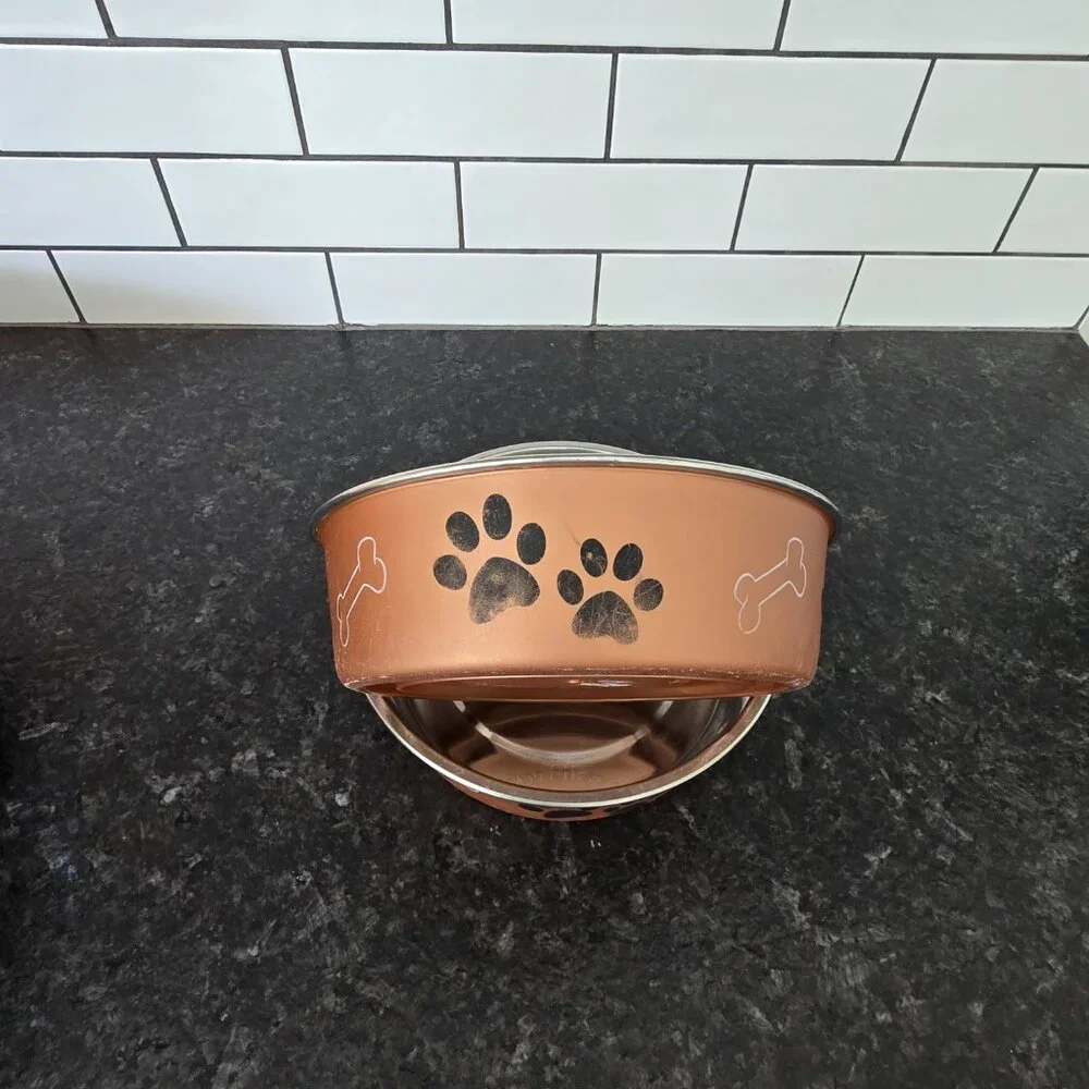 N/A set dog