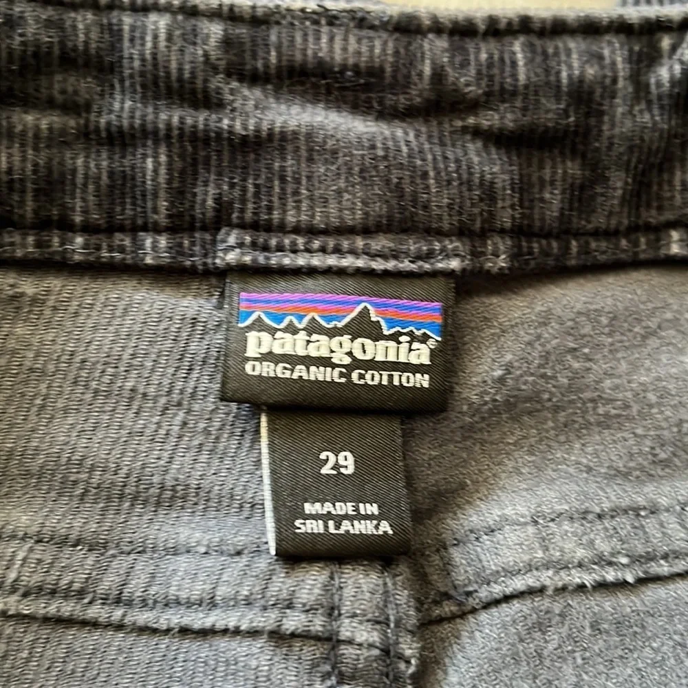 Patagonia size 29