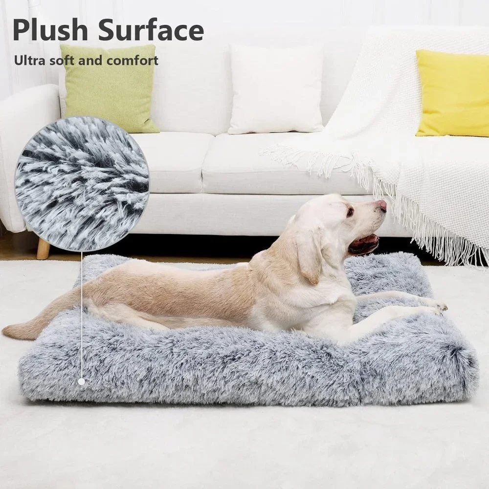 N/A can perfect sofa