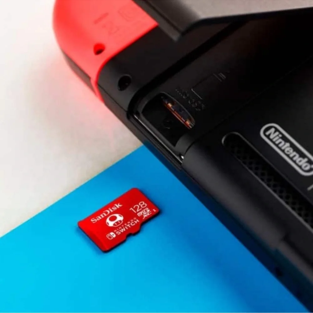 Nintendo game micro