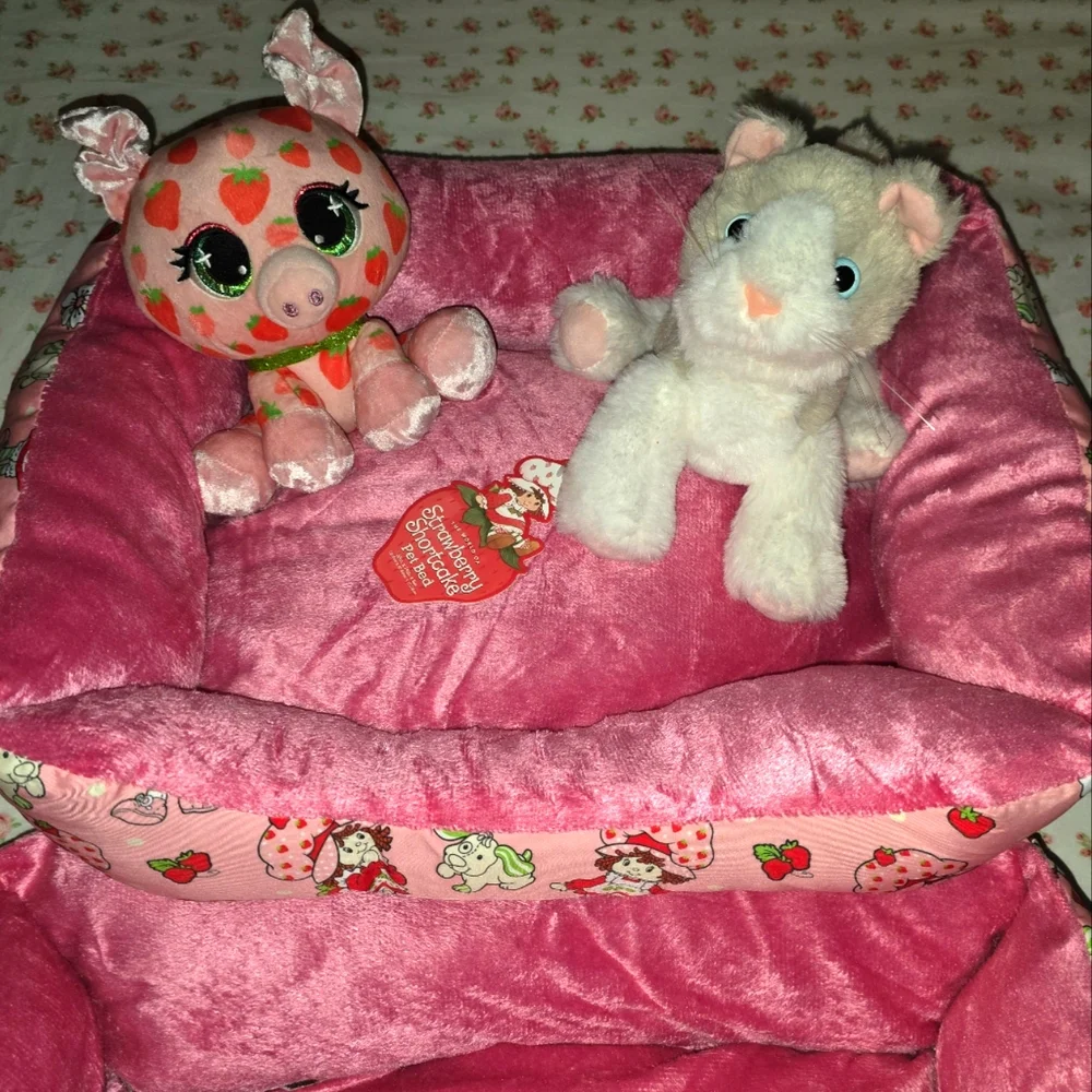Strawberry Shortcake product description