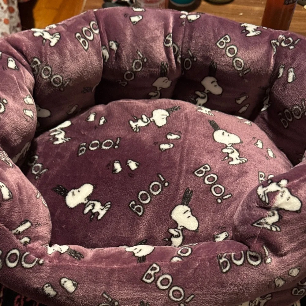 Peanuts snoopy halloween