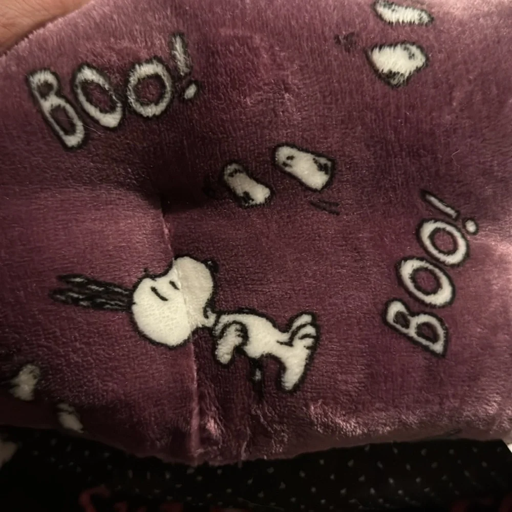Peanuts snoopy halloween