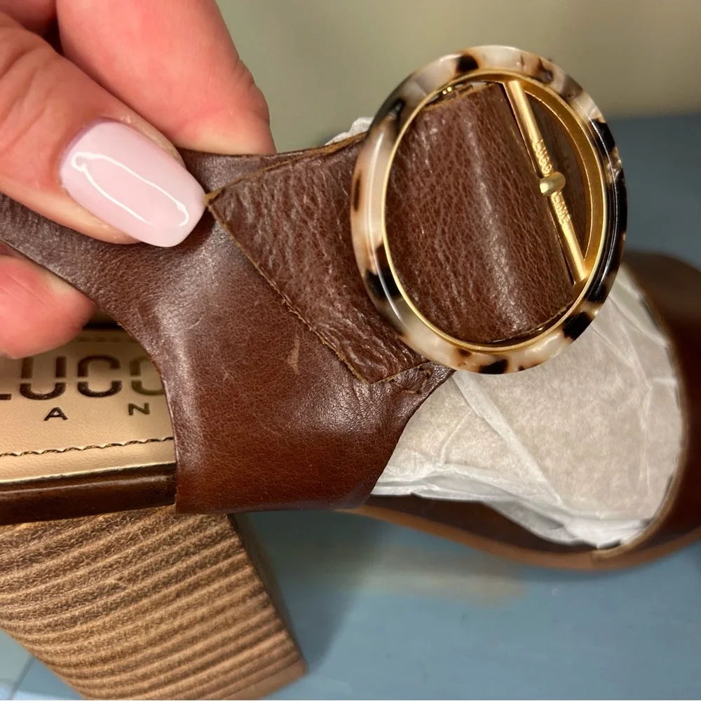 Luca Lane luca lane