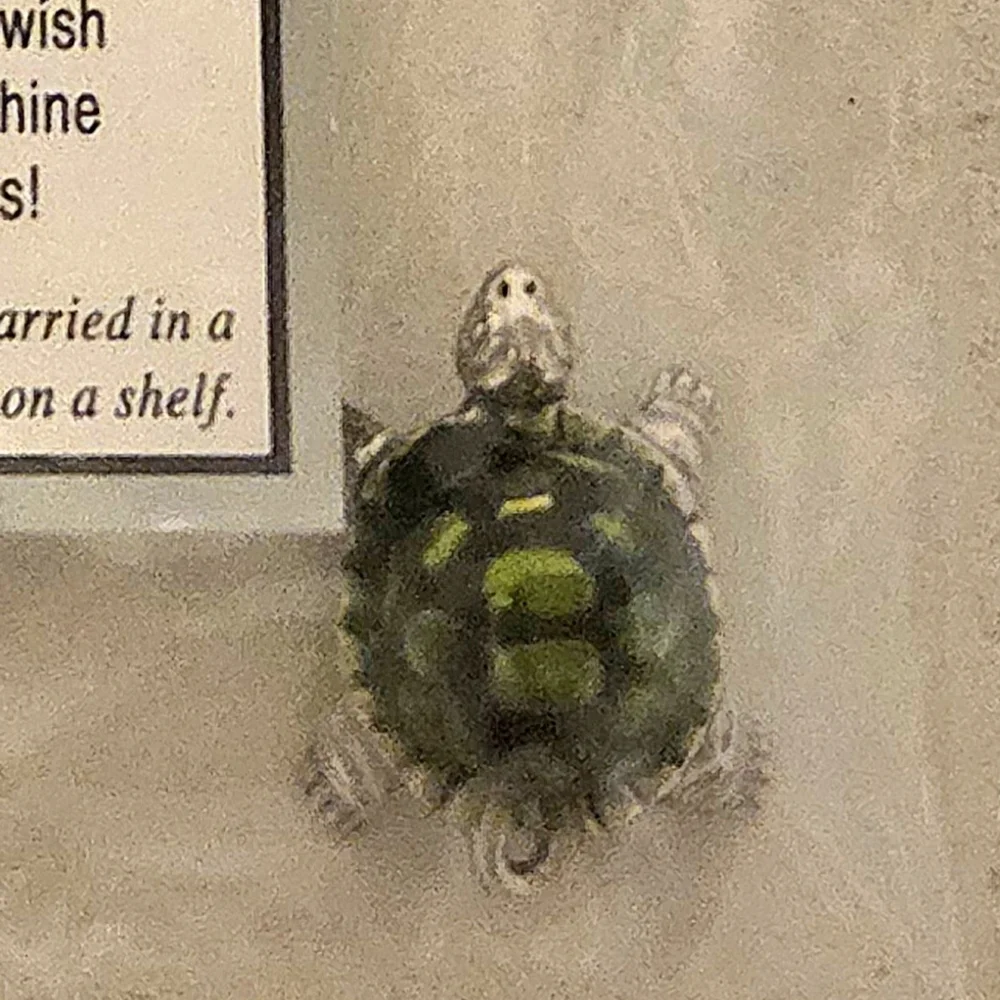 GANZ Green and Gray Turtle Ornament