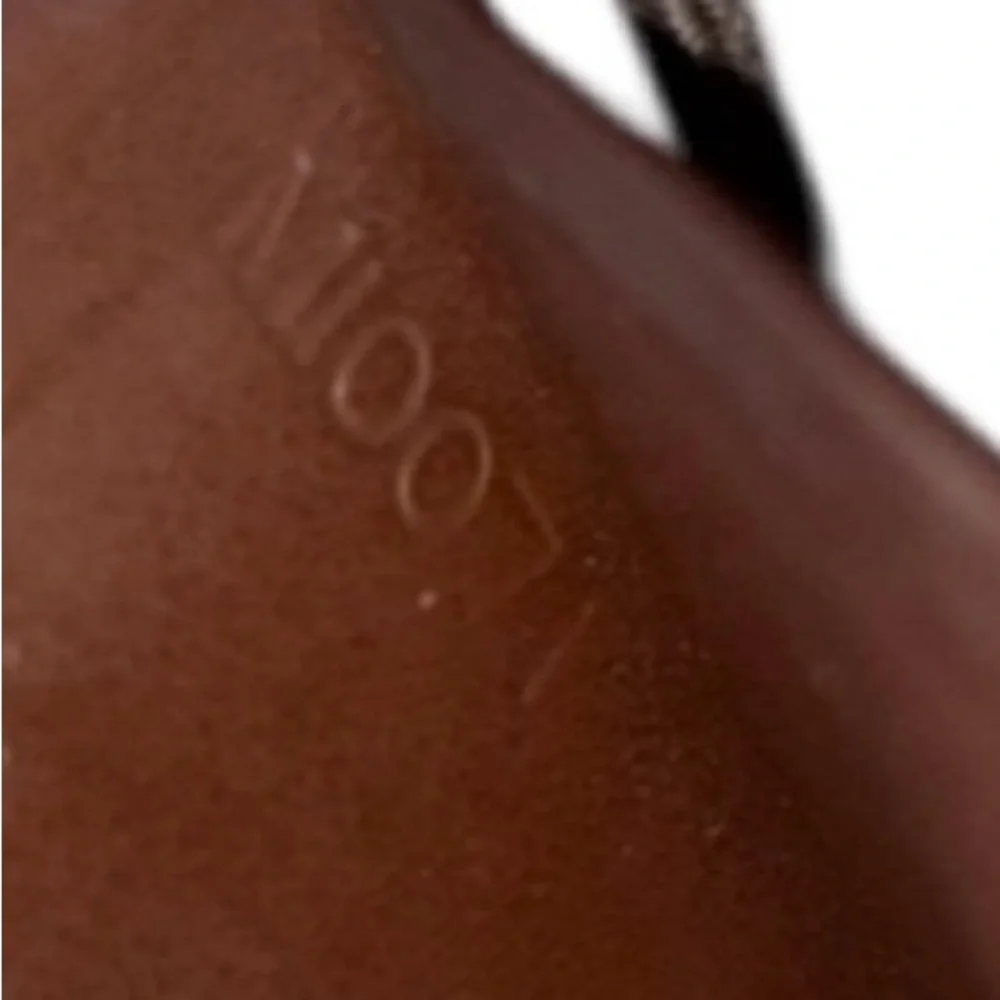 Louis Vuitton luxurious brown