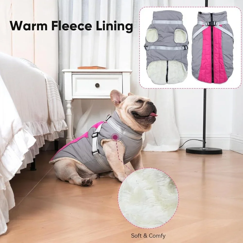 BVGASS fleece dog
