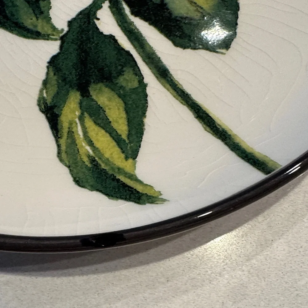 Crate&Barrel Botanical Dinnerware Set - Cream and Green 1 plate has small chips
