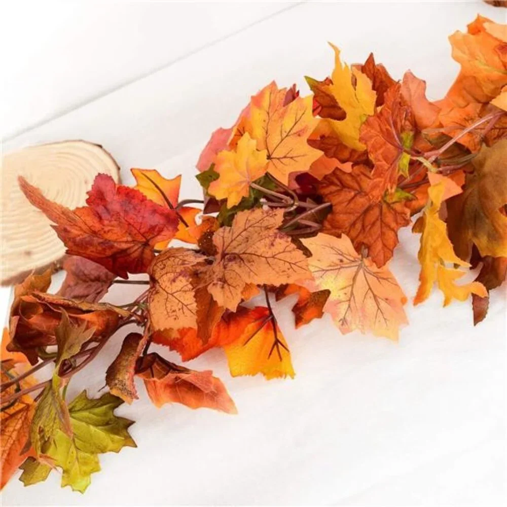 N/A decorate 】maple from