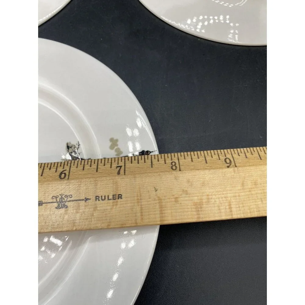 KAYSONS salad plates