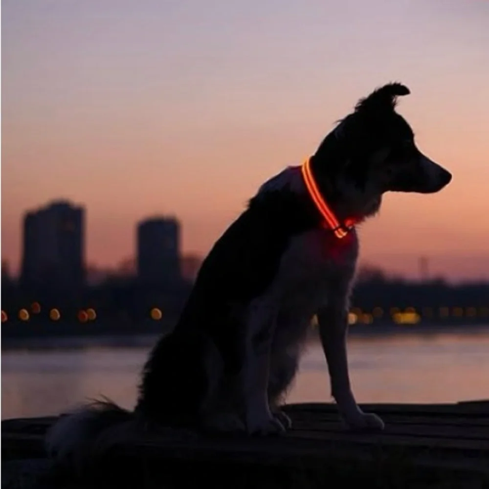 N/A led light