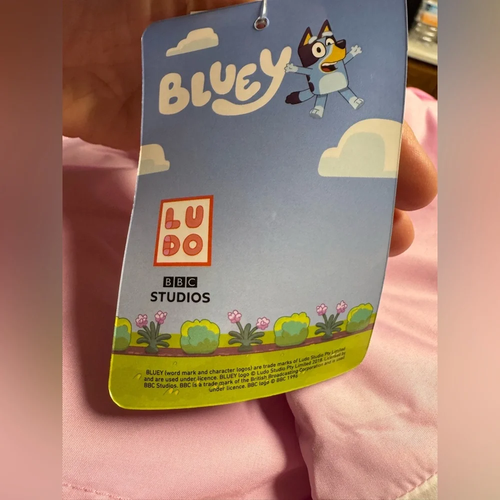 Bluey ip up