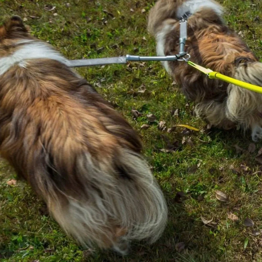 Wacky Walker durable dog
