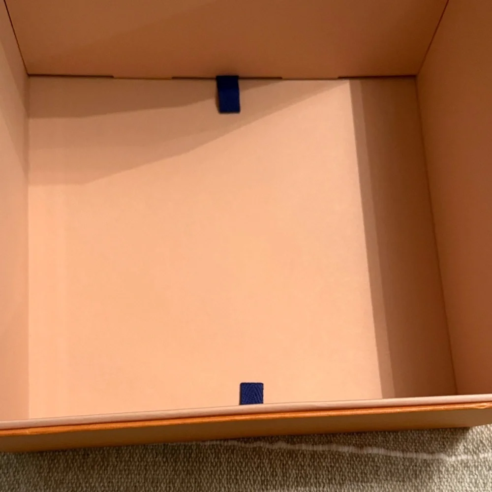 Louis Vuitton vibrant orange