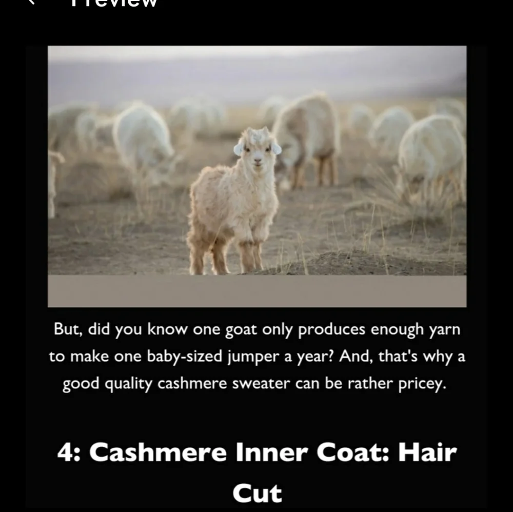 mika and milo cashmere ply